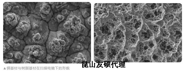 东丽蔡司东丽扫描电镜