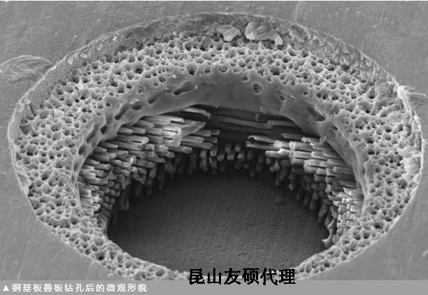 东丽蔡司东丽扫描电镜